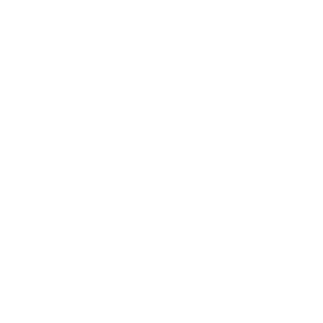 Borini Software Logo